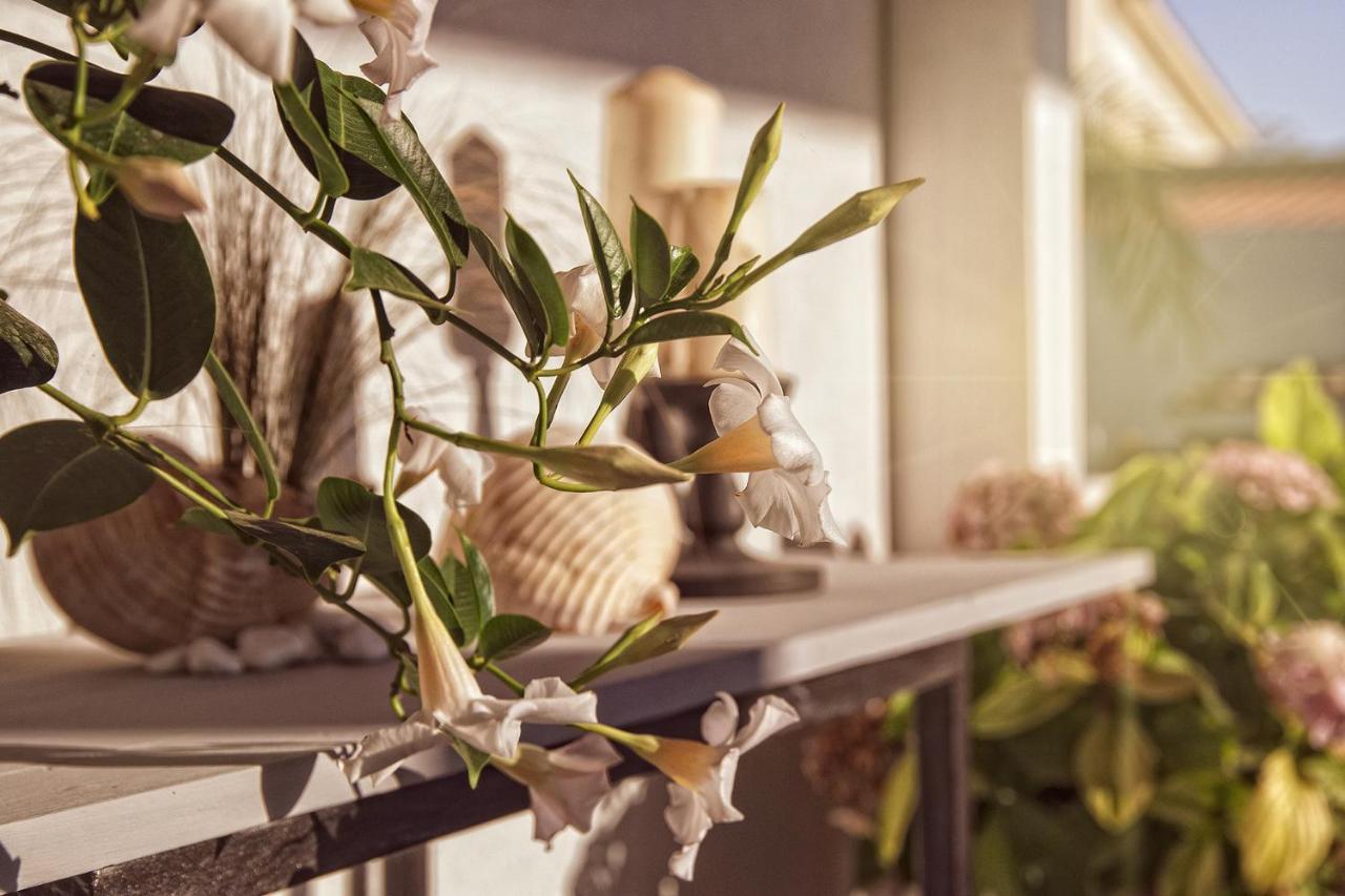Affittacamere Villa Masa Zingarello Ngoại thất bức ảnh